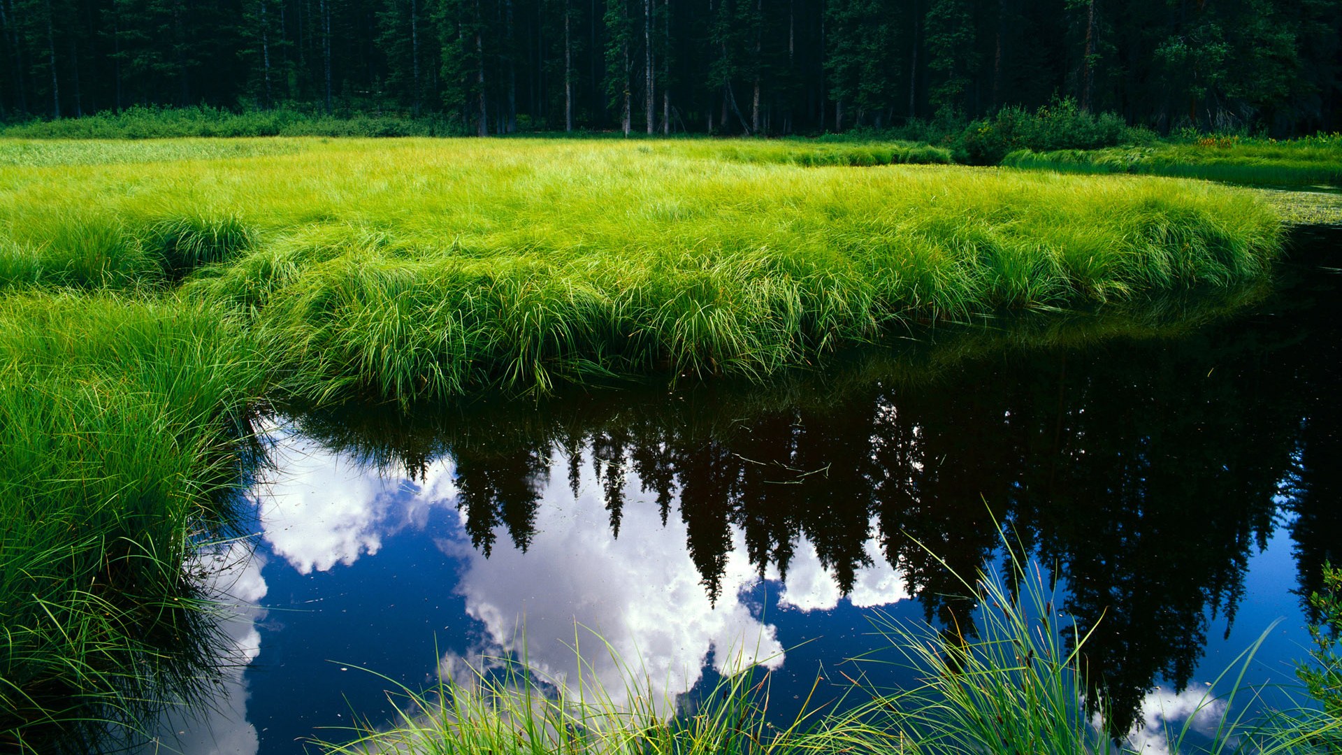 当联赛的喧嚣遇见国家的冷门，德甲争冠的窒息时刻与挪威打穿卡塔尔的唯一性启示
