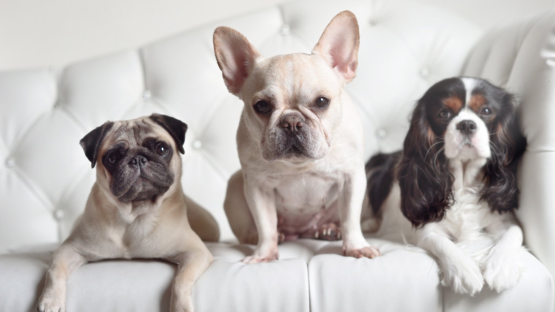 德罗赞制胜一击定乾坤,尼克斯激战险胜上海队