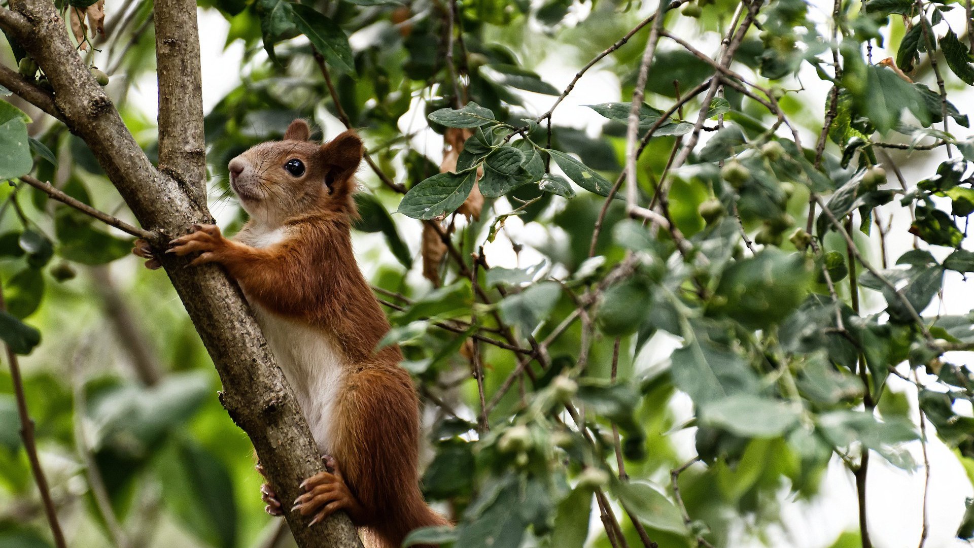 双星闪耀暗夜，当福登定义此刻，马内诠释绝杀