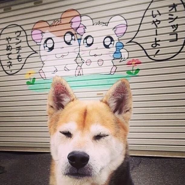 钢铁意志与战术交响，阿劳霍的节奏魔法与国际米兰的丹麦童话终结者