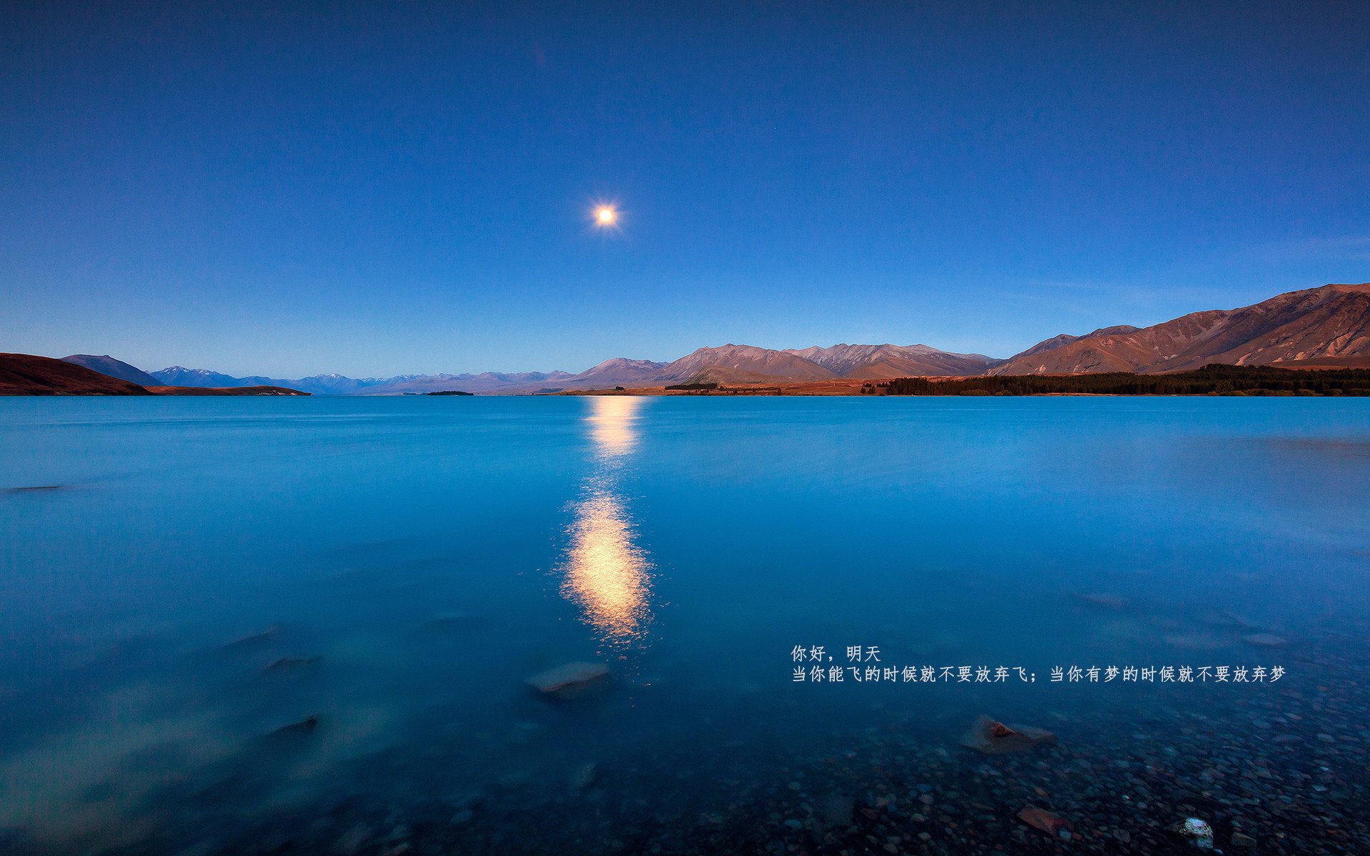 西甲国家德比之夜，戈麦斯刷新纪录，巴萨新星闪耀伯纳乌