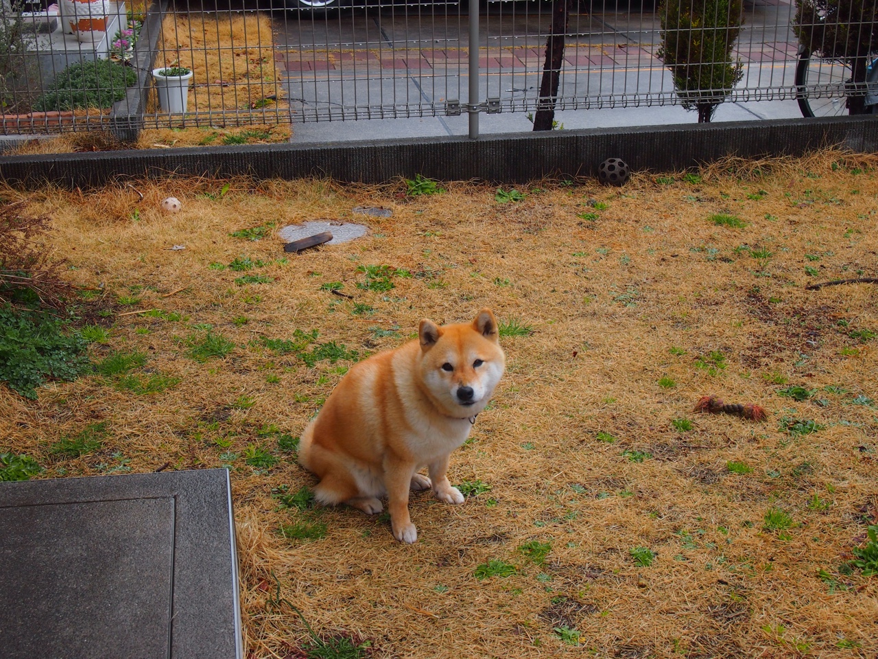 开云体育平台APP-平行宇宙的终极对决，当字母哥在湖凯巅峰战接管比赛