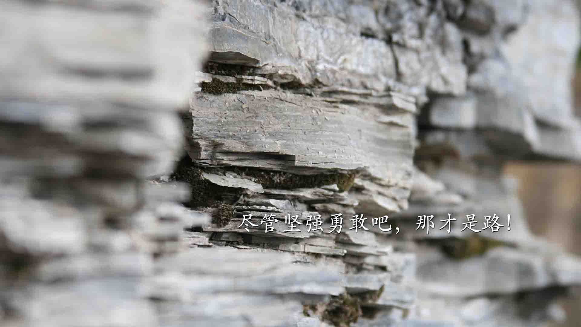 绿茵场的矛盾之争，当奥斯梅恩的烽火点燃阿兹特克荣耀