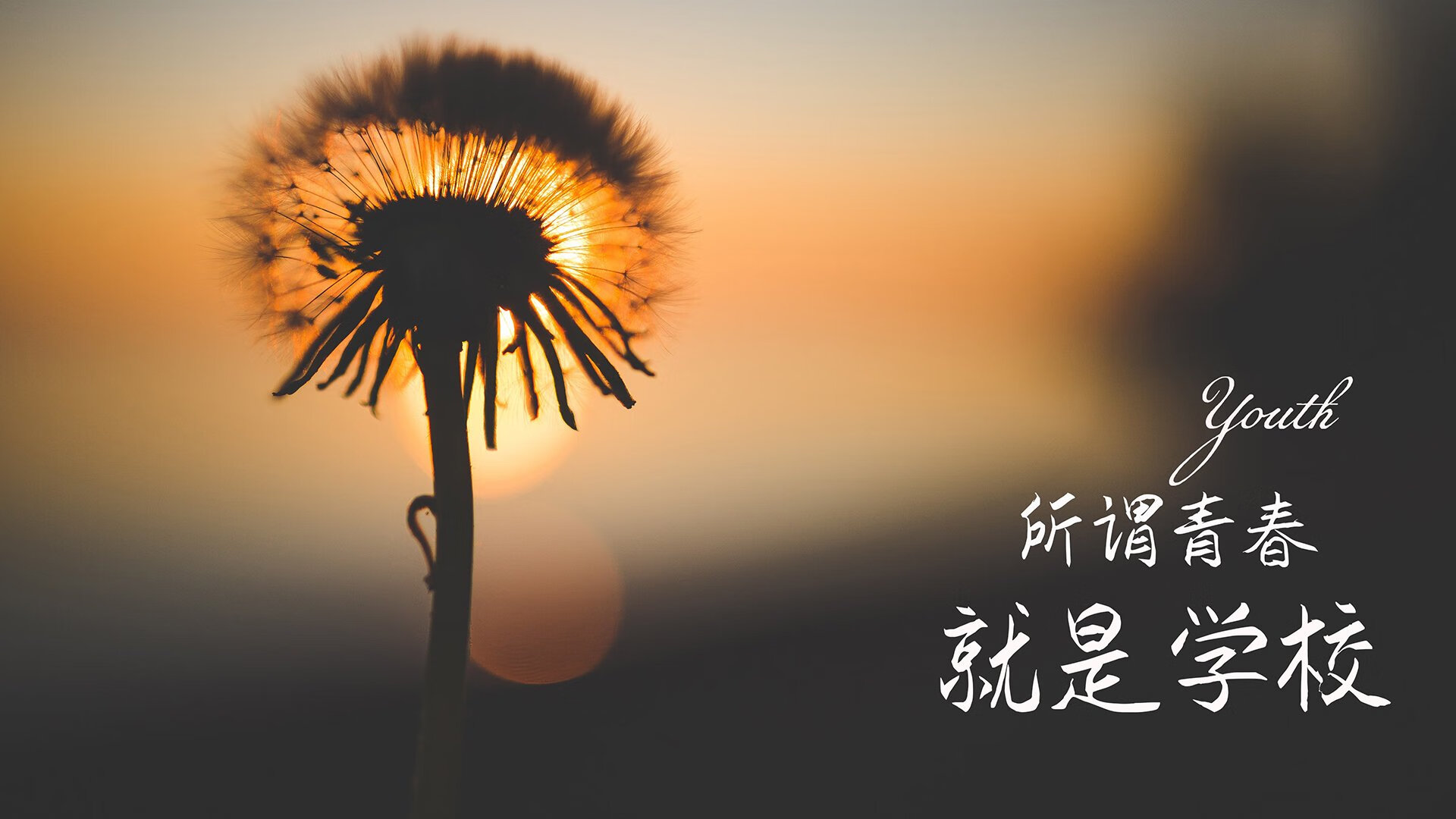 2026，C组的唯一性悖论，当潘帕斯雄鹰压制了东方奇迹，C罗用不属于此世的一剑，刺穿了平行宇宙