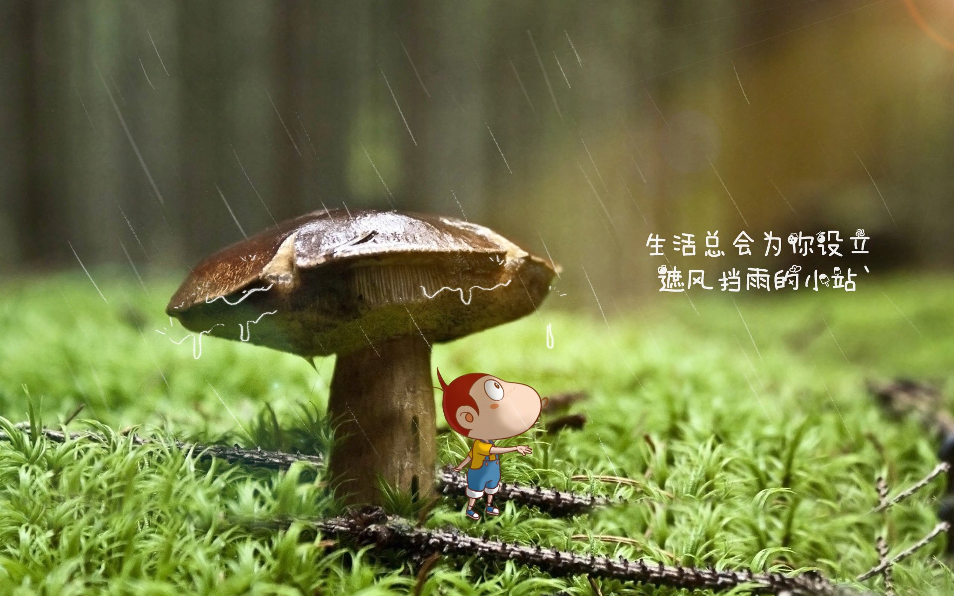 以下是为您构思的文章标题及内容