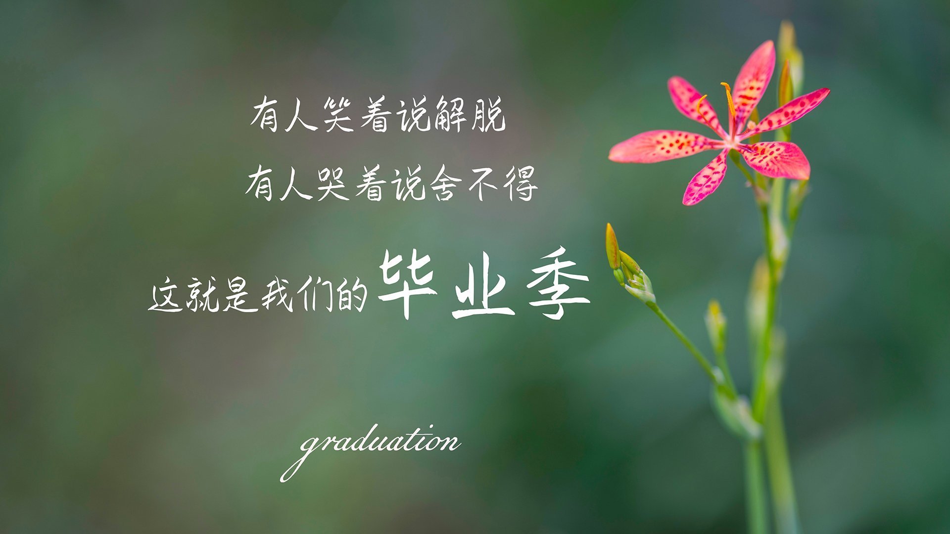 一秒钟的必然,2026世界杯G组,迪亚斯与瑞典闪电战中的时间切片