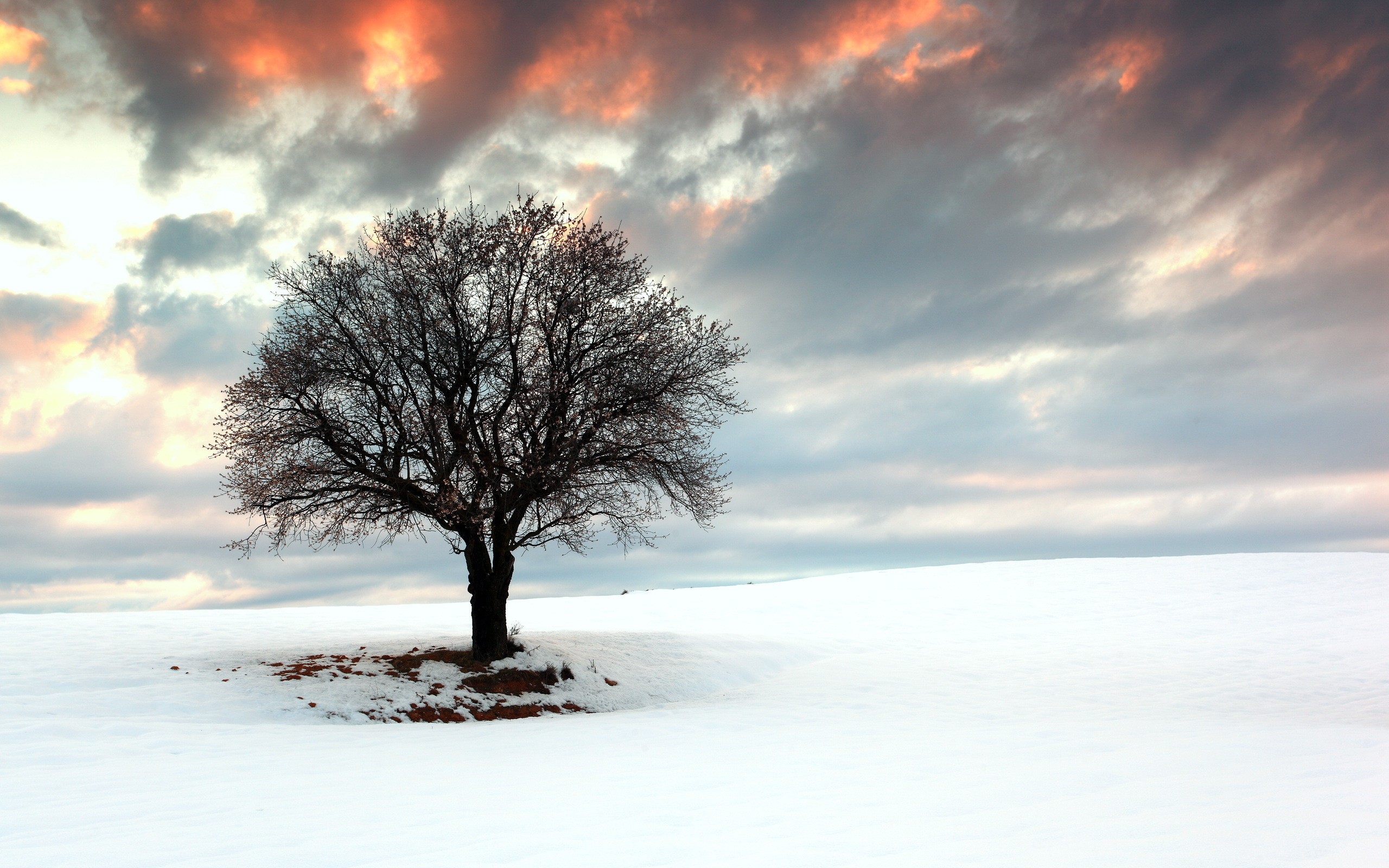 斗牛士的钢铁长城，当德容化身中场魔术师，西班牙用唯一性统治2026世界杯D组巅峰战